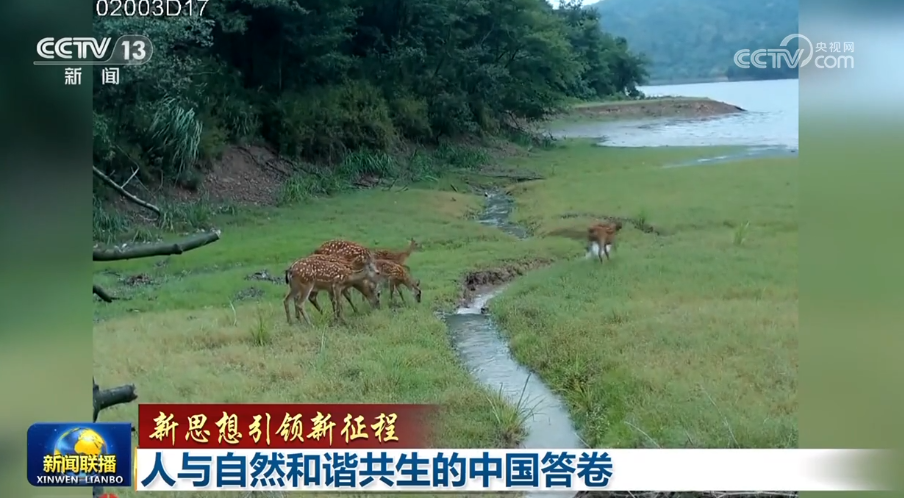 【新思想引領(lǐng)新征程】人與自然和諧共生的中國(guó)答卷