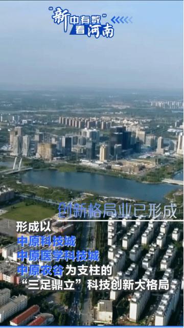 動海報丨“新中有數”看河南