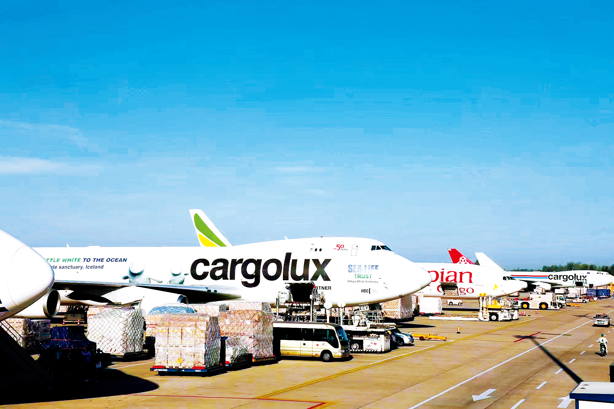 跨國公司看河南：河南有商業(yè)思維，來豫投資有信心！