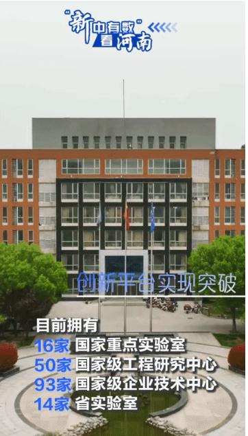 動海報丨“新中有數”看河南