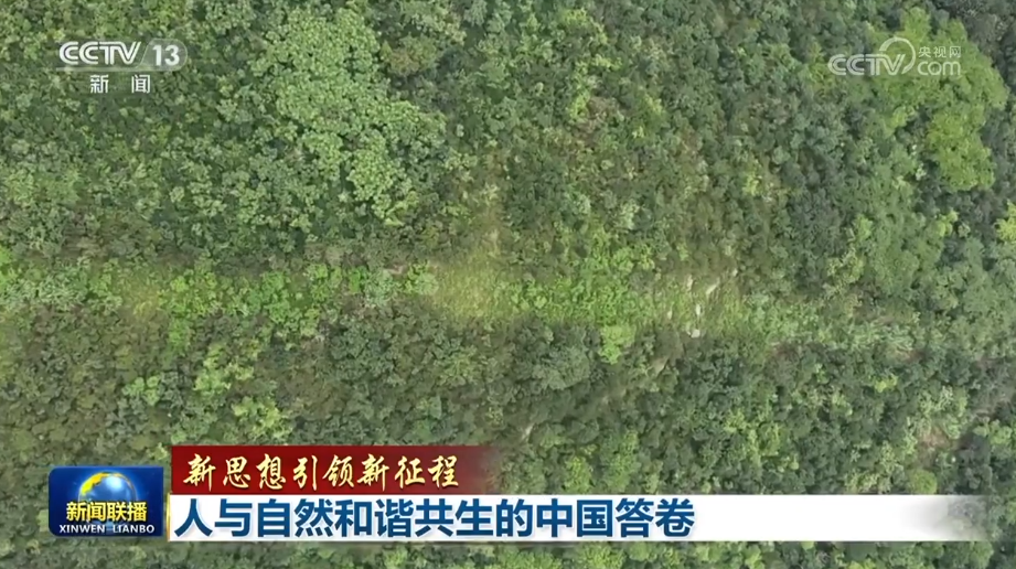 【新思想引領(lǐng)新征程】人與自然和諧共生的中國(guó)答卷