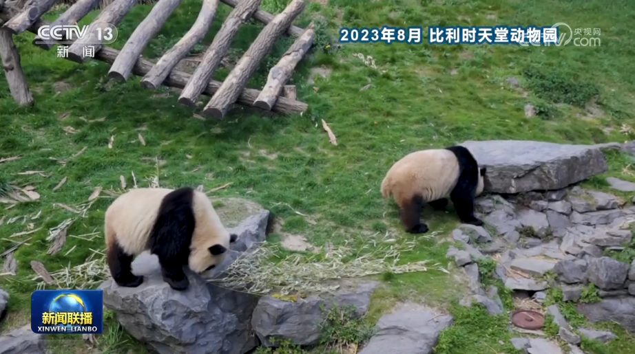 【新思想引領(lǐng)新征程】人與自然和諧共生的中國(guó)答卷