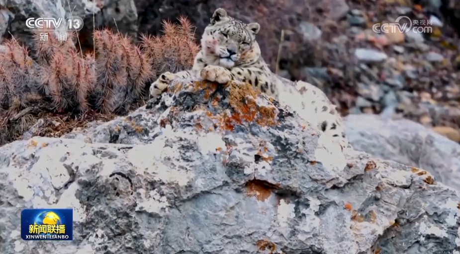 【新思想引領(lǐng)新征程】人與自然和諧共生的中國(guó)答卷