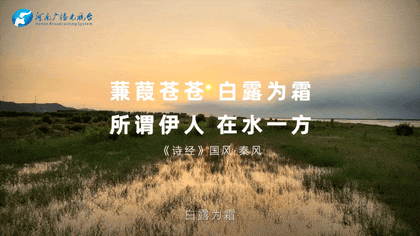 白露|秋風起鄉(xiāng)愁濃 中原大地累累秋實滿枝頭