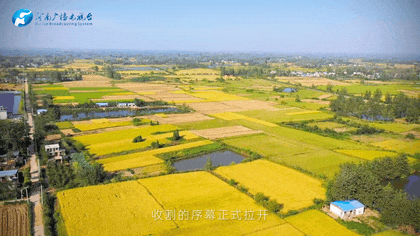 白露|秋風起鄉(xiāng)愁濃 中原大地累累秋實滿枝頭