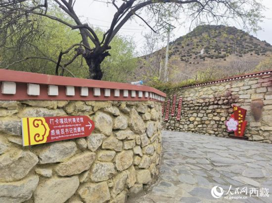 跟著總書記看中國|林芝“桃花村”的故事又更新了