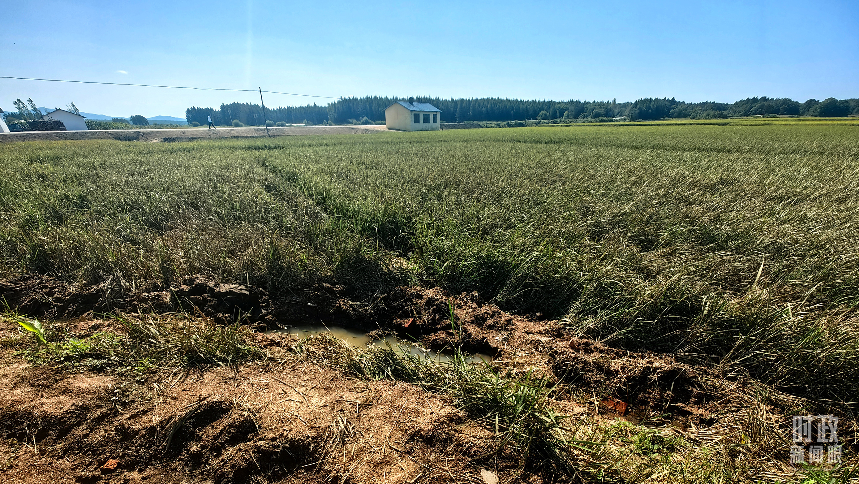 時(shí)政新聞眼丨習(xí)近平赴黑龍江看望慰問受災(zāi)群眾，重點(diǎn)關(guān)注了什么