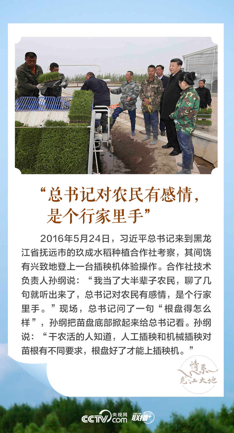 聯(lián)播+|情系龍江大地