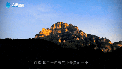 白露|秋風起鄉(xiāng)愁濃 中原大地累累秋實滿枝頭