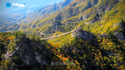 白露|秋風起鄉(xiāng)愁濃 中原大地累累秋實滿枝頭