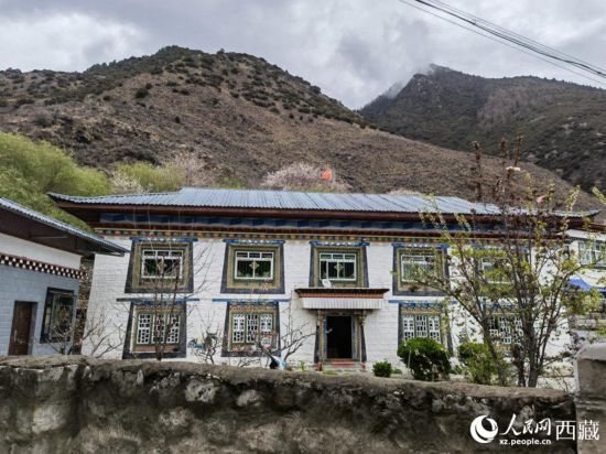 跟著總書記看中國|林芝“桃花村”的故事又更新了