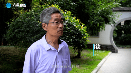 白露|秋風起鄉(xiāng)愁濃 中原大地累累秋實滿枝頭