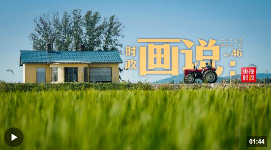 時(shí)政畫說丨家園