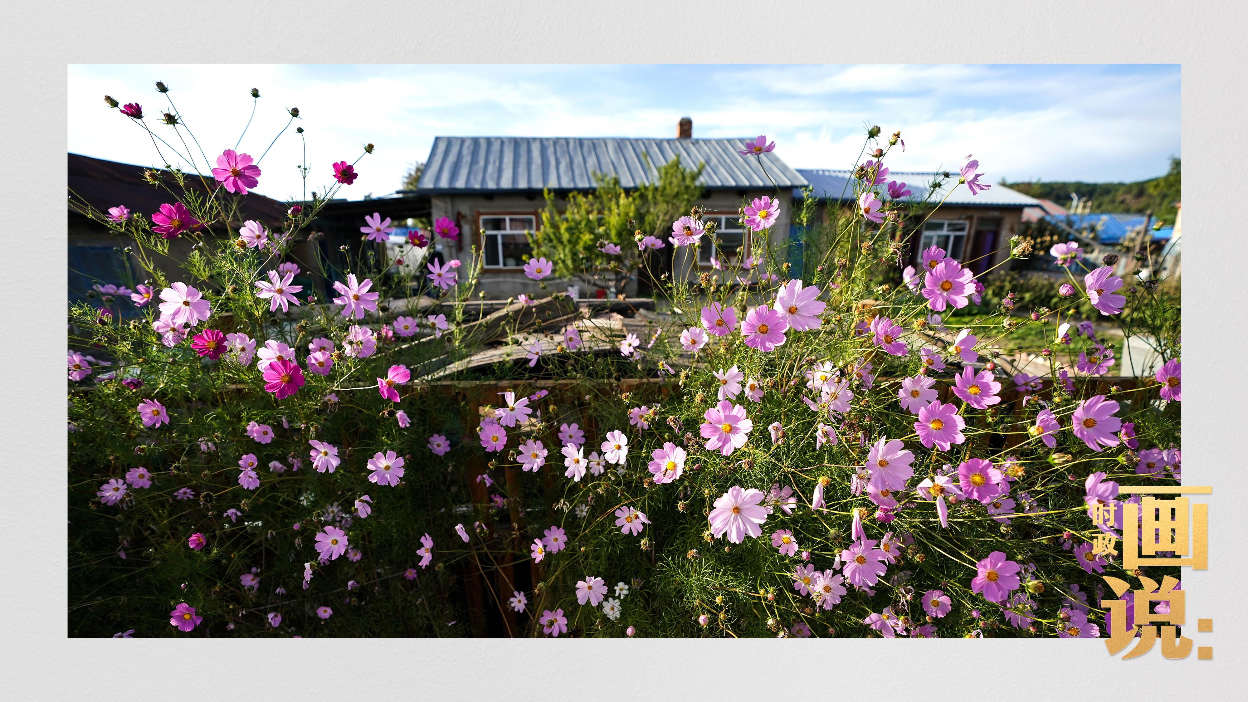 時(shí)政畫說丨一路向北