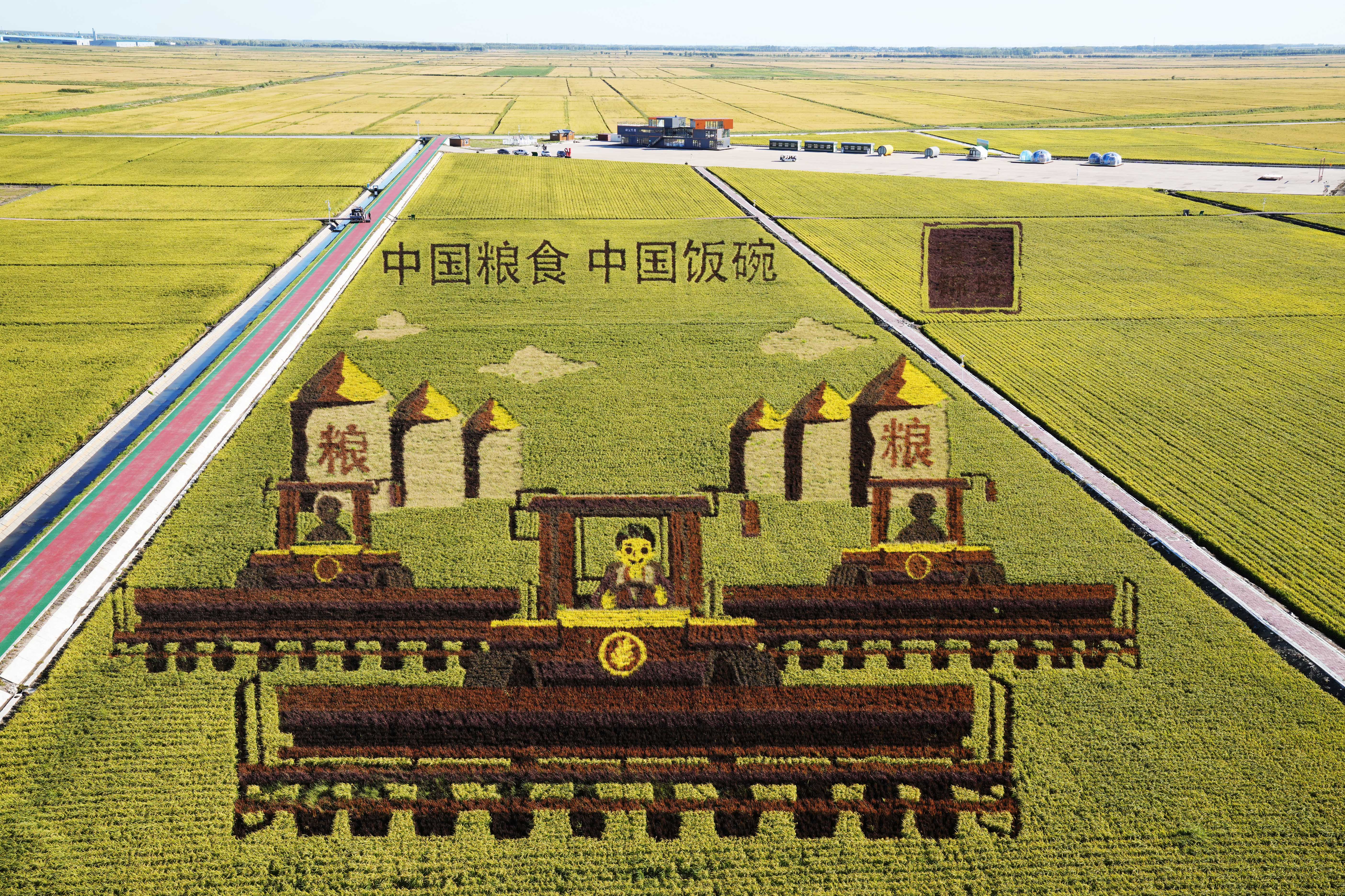 一眼心動(dòng)，感受東北脈動(dòng)