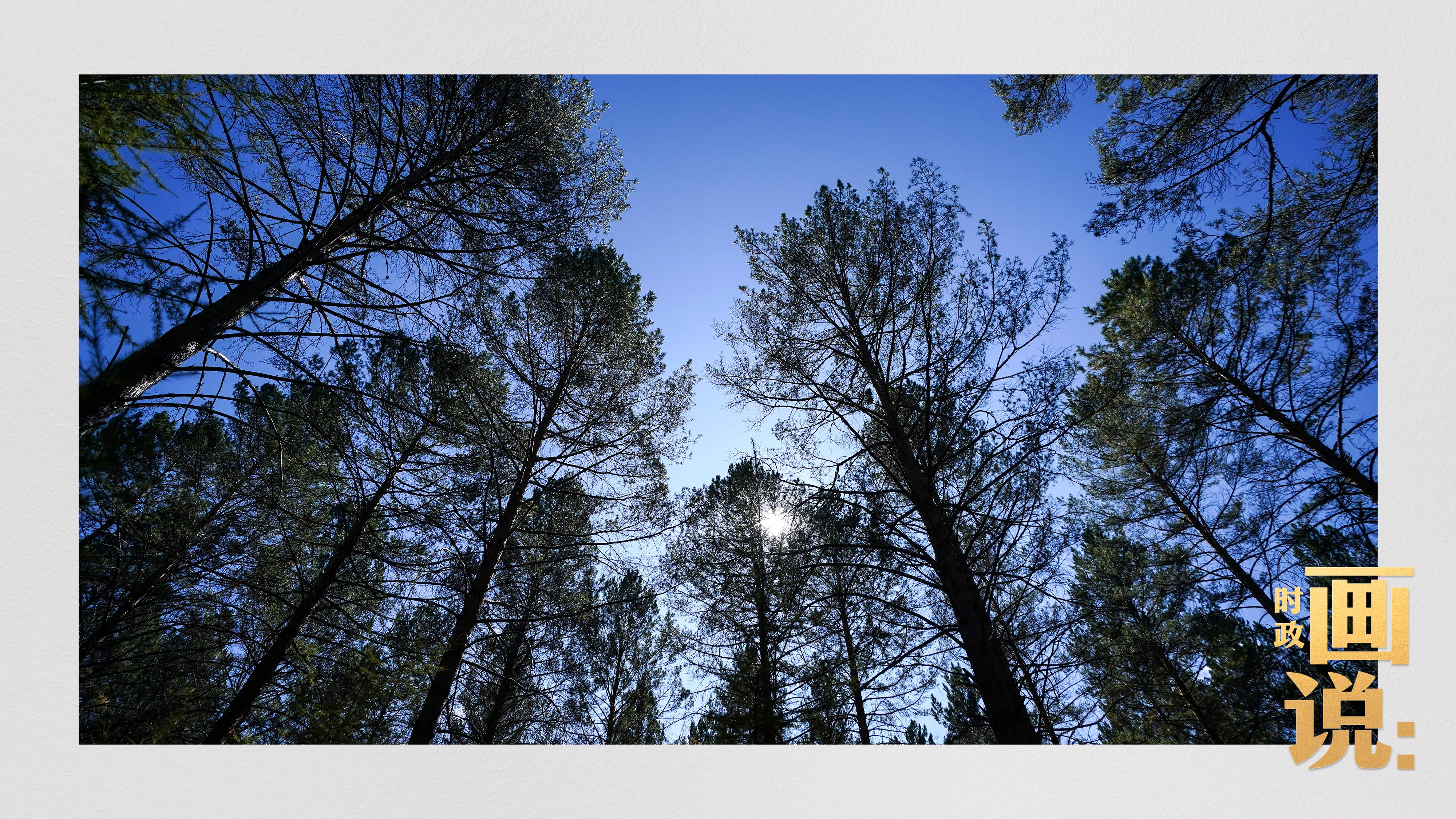 時(shí)政畫說丨一路向北