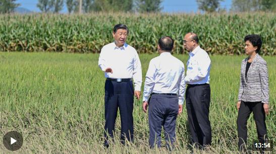 時(shí)政新聞眼丨時(shí)隔五年再赴黑龍江，習(xí)近平關(guān)心這些事