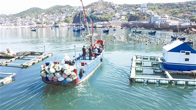 司法守護(hù)“海上牧場(chǎng)”