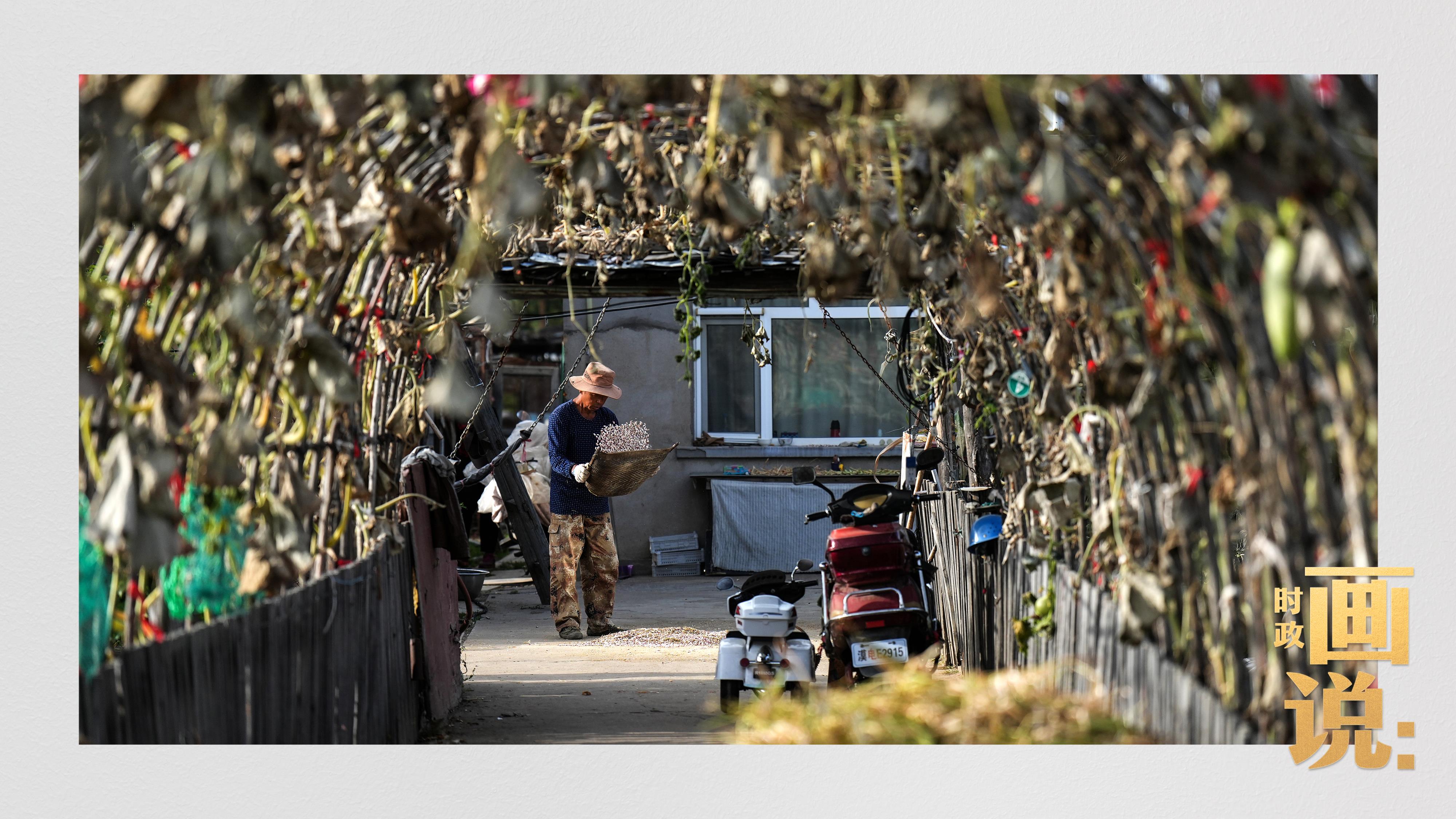 時(shí)政畫說丨一路向北