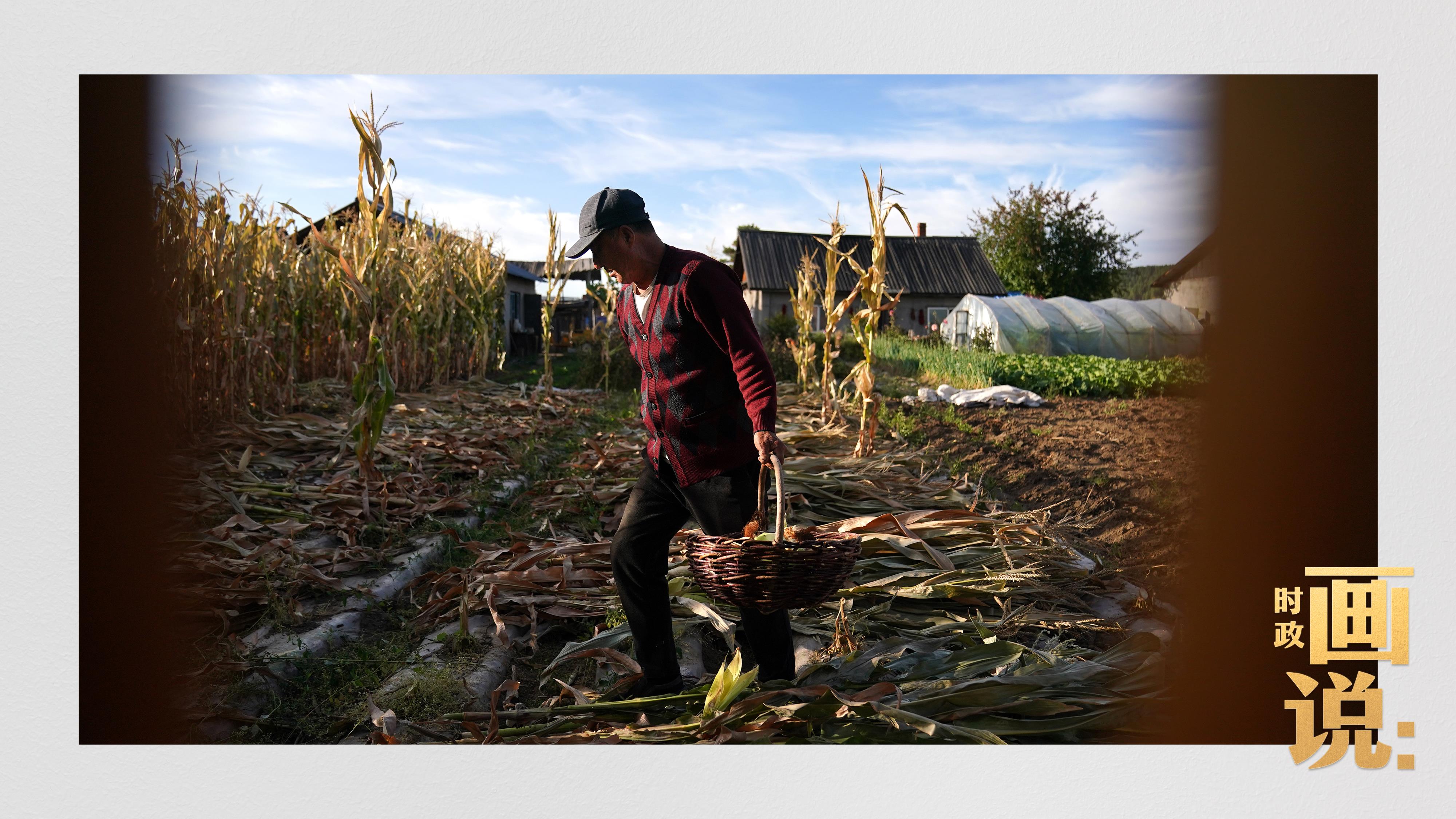 時(shí)政畫說丨一路向北