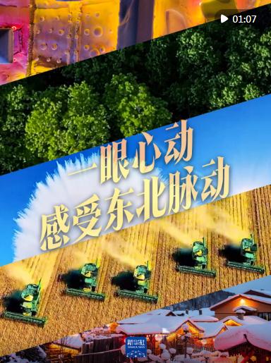 一眼心動(dòng)，感受東北脈動(dòng)