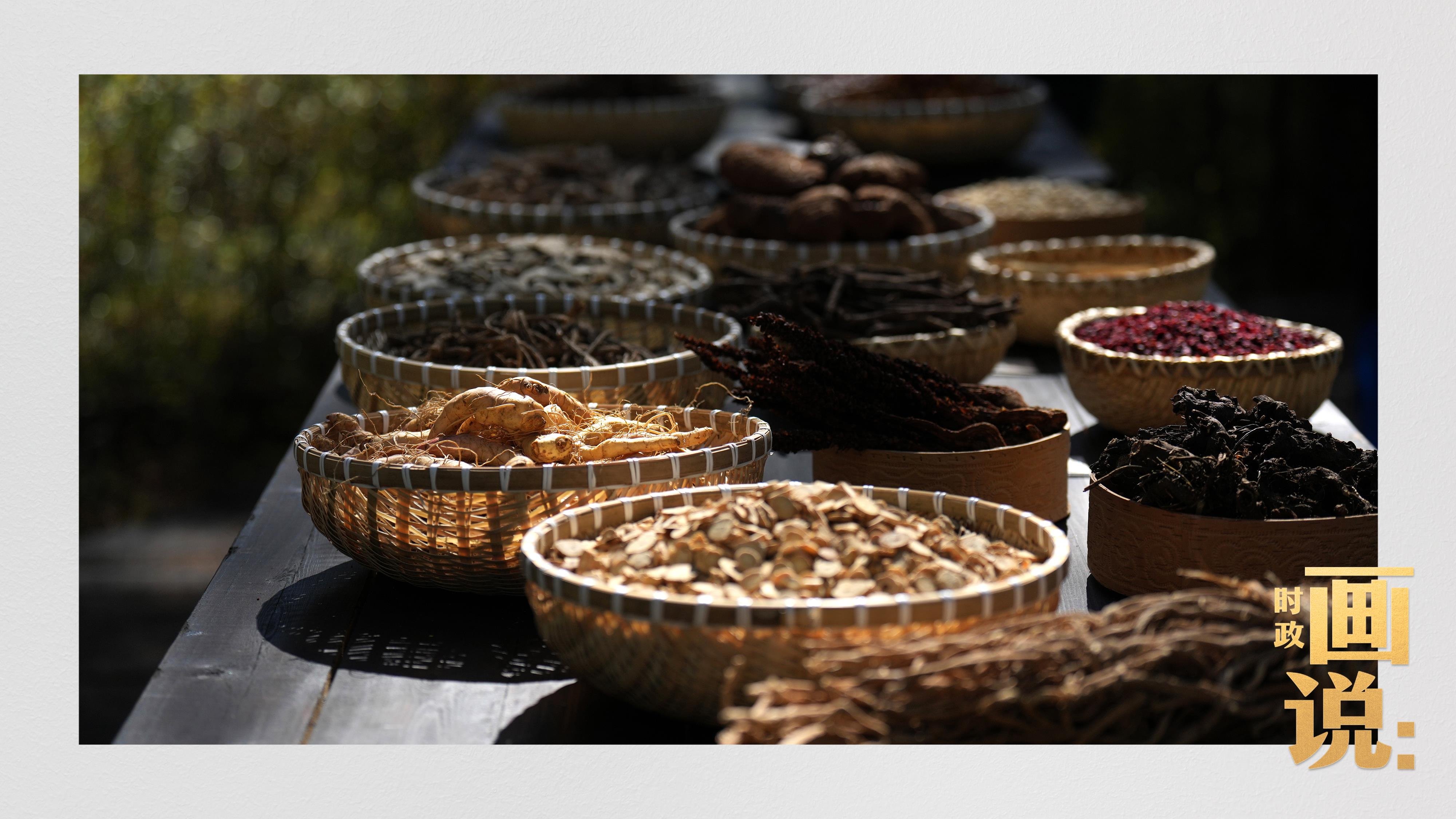 時(shí)政畫說丨一路向北