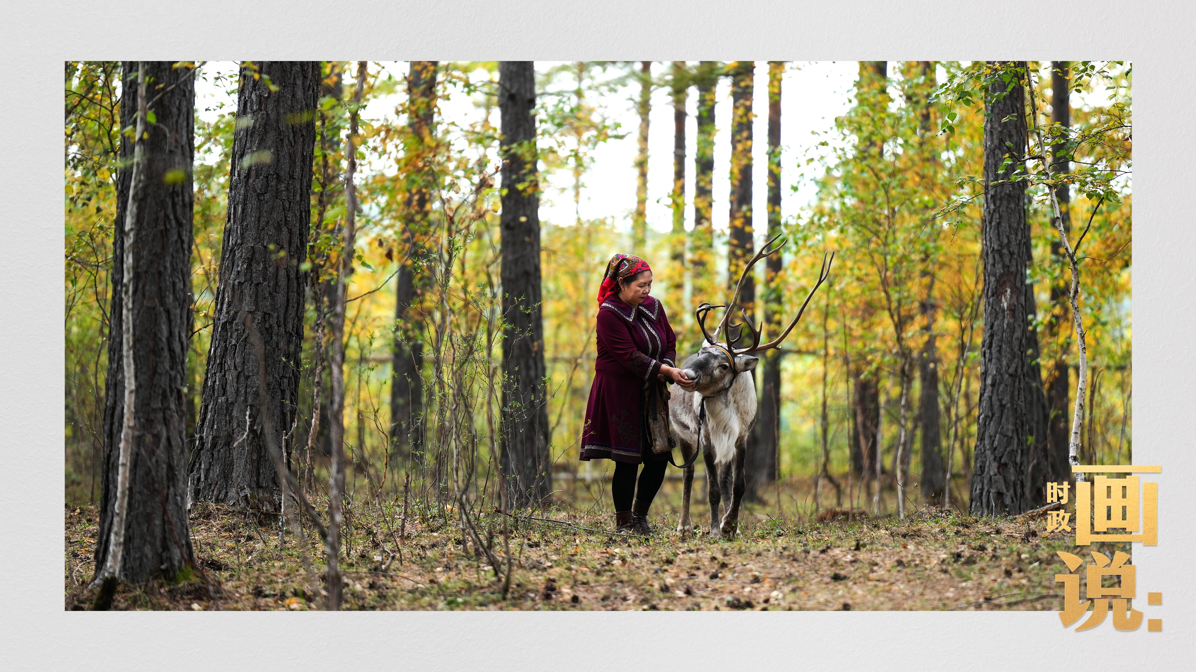 時(shí)政畫說丨一路向北