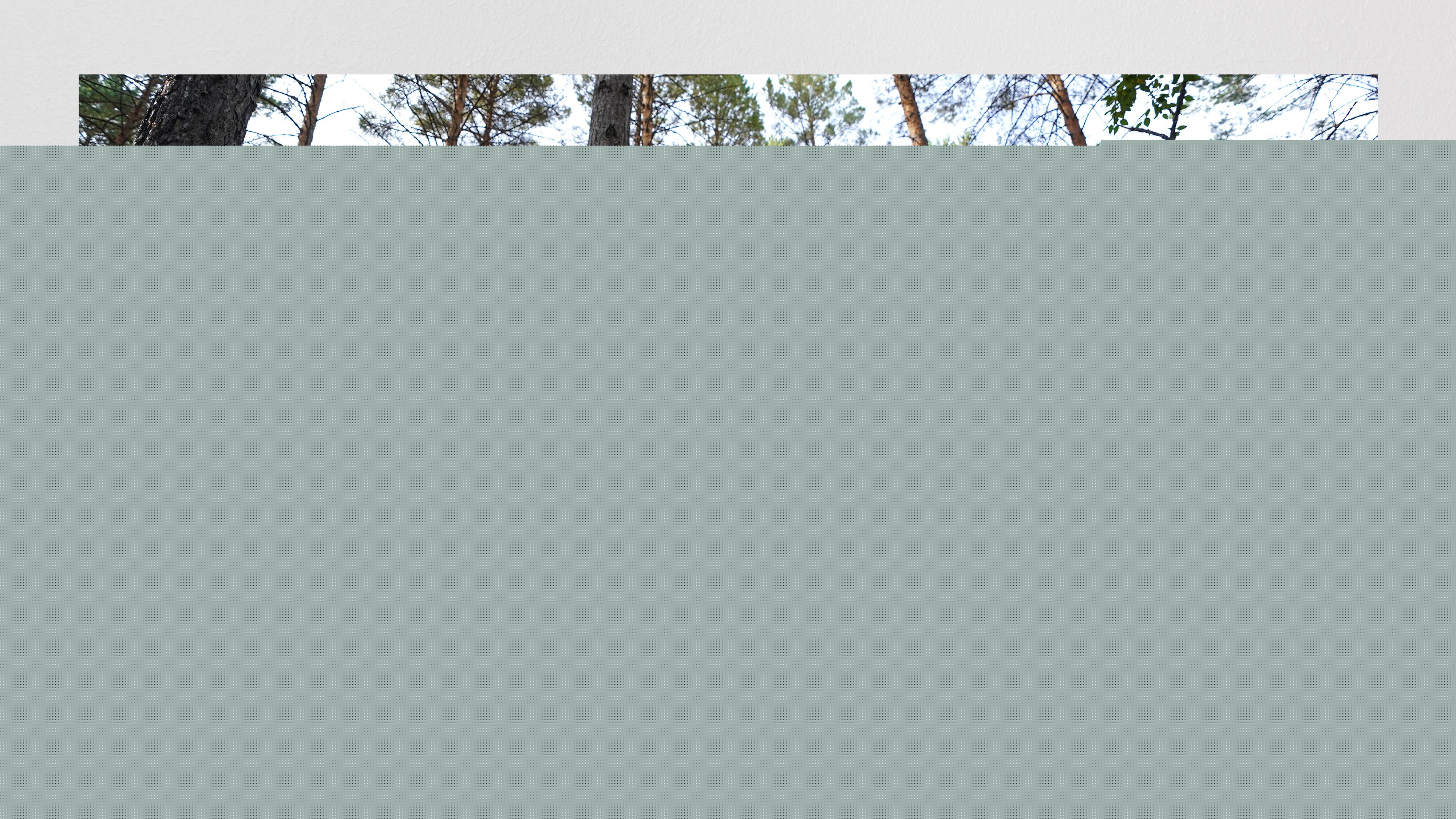 時(shí)政畫說丨一路向北