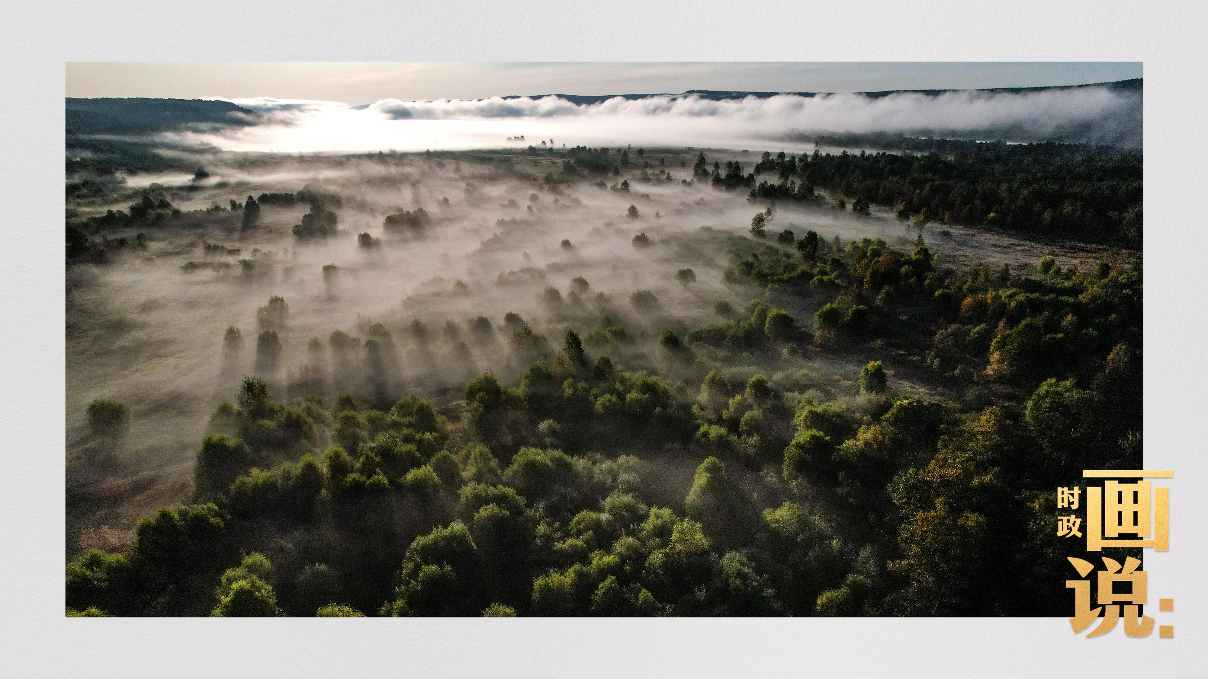 時(shí)政畫說丨一路向北