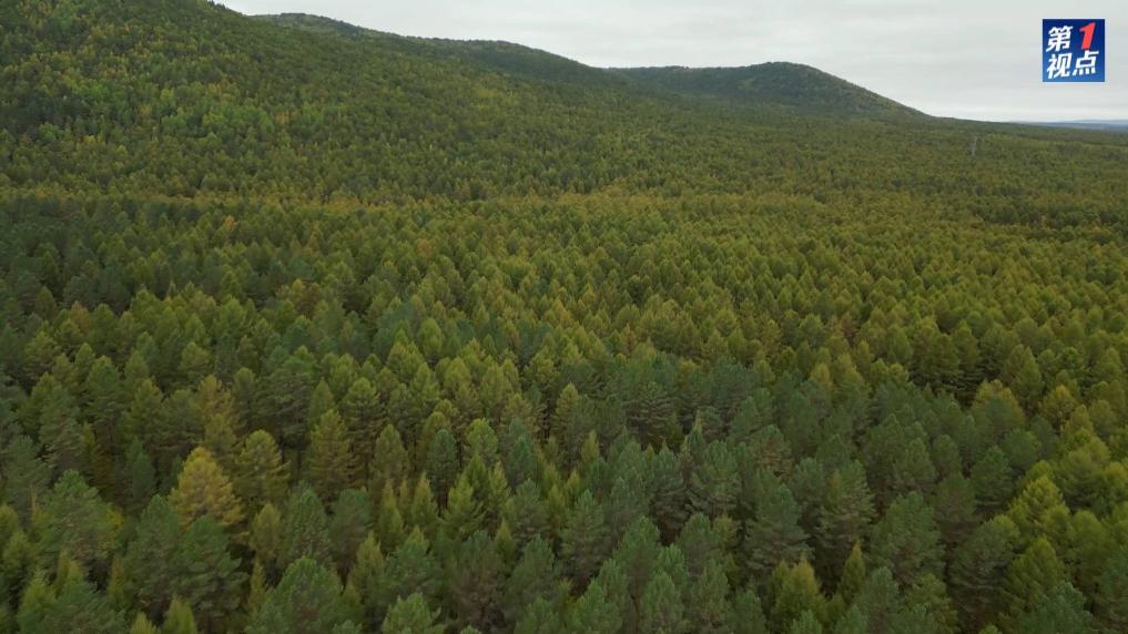 第1視點(diǎn)|情牽龍江大地