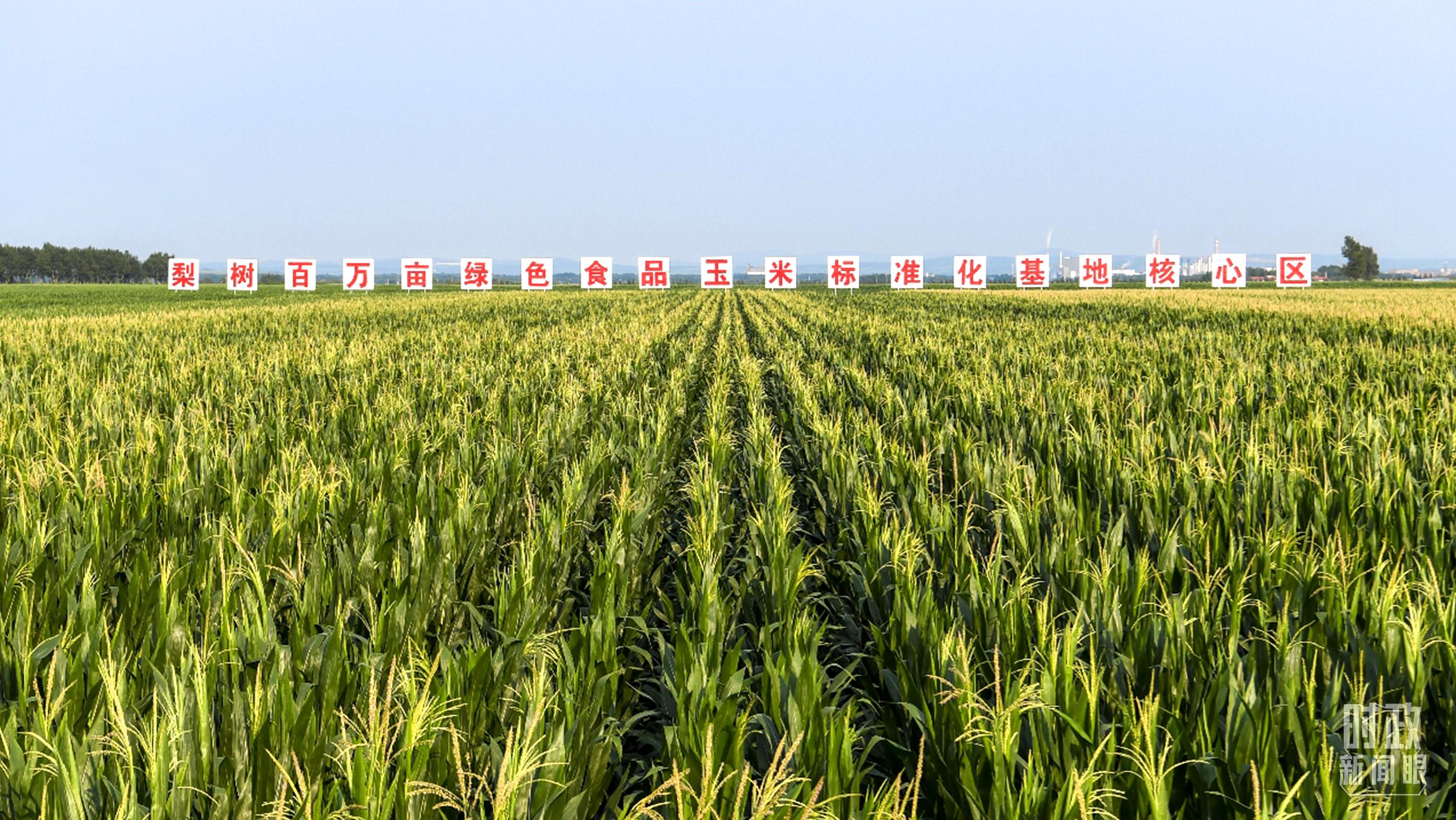 時政新聞眼丨再開東北振興座談會，這些關(guān)鍵詞引人關(guān)注