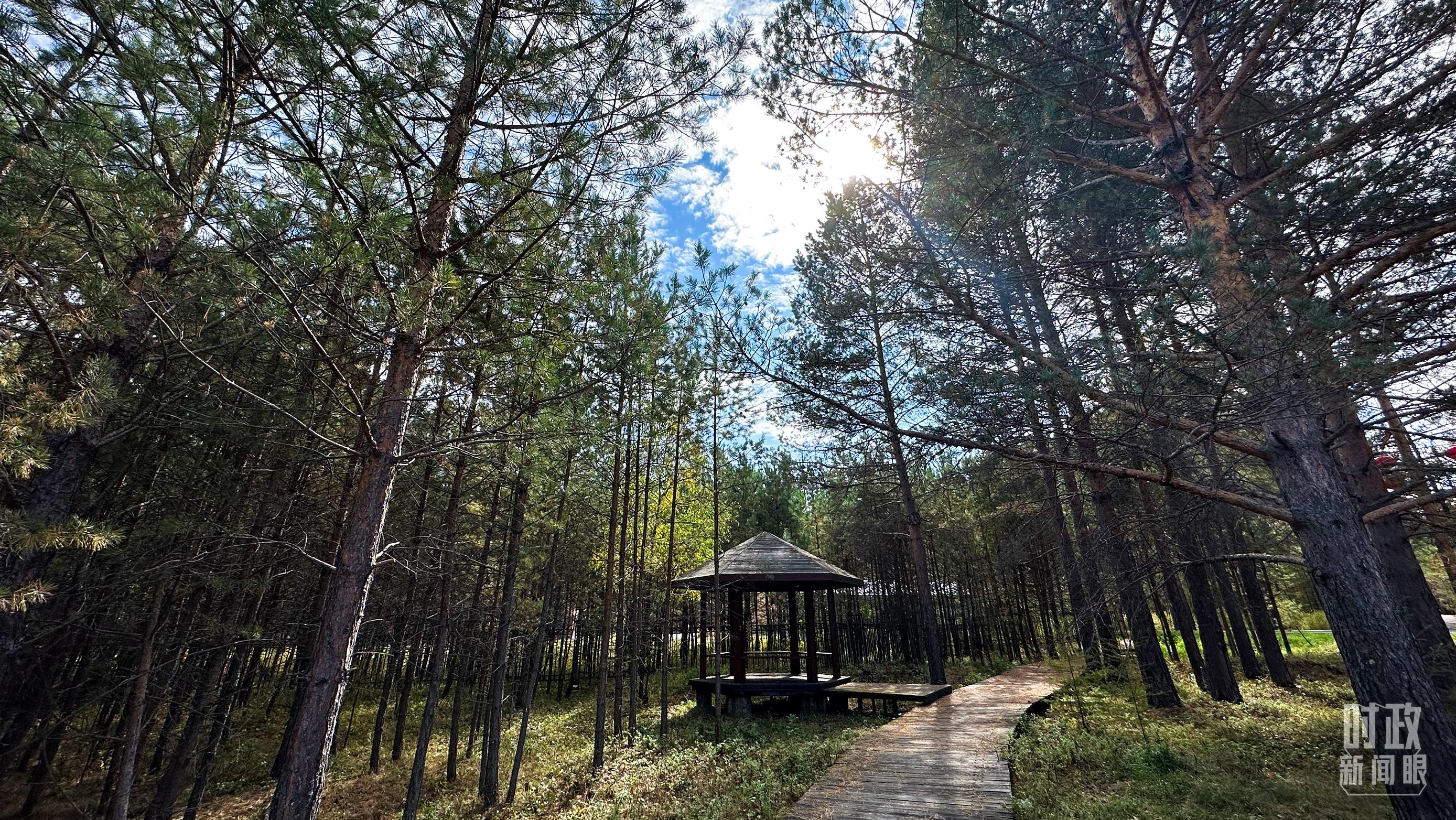 時政新聞眼丨再開東北振興座談會，這些關(guān)鍵詞引人關(guān)注