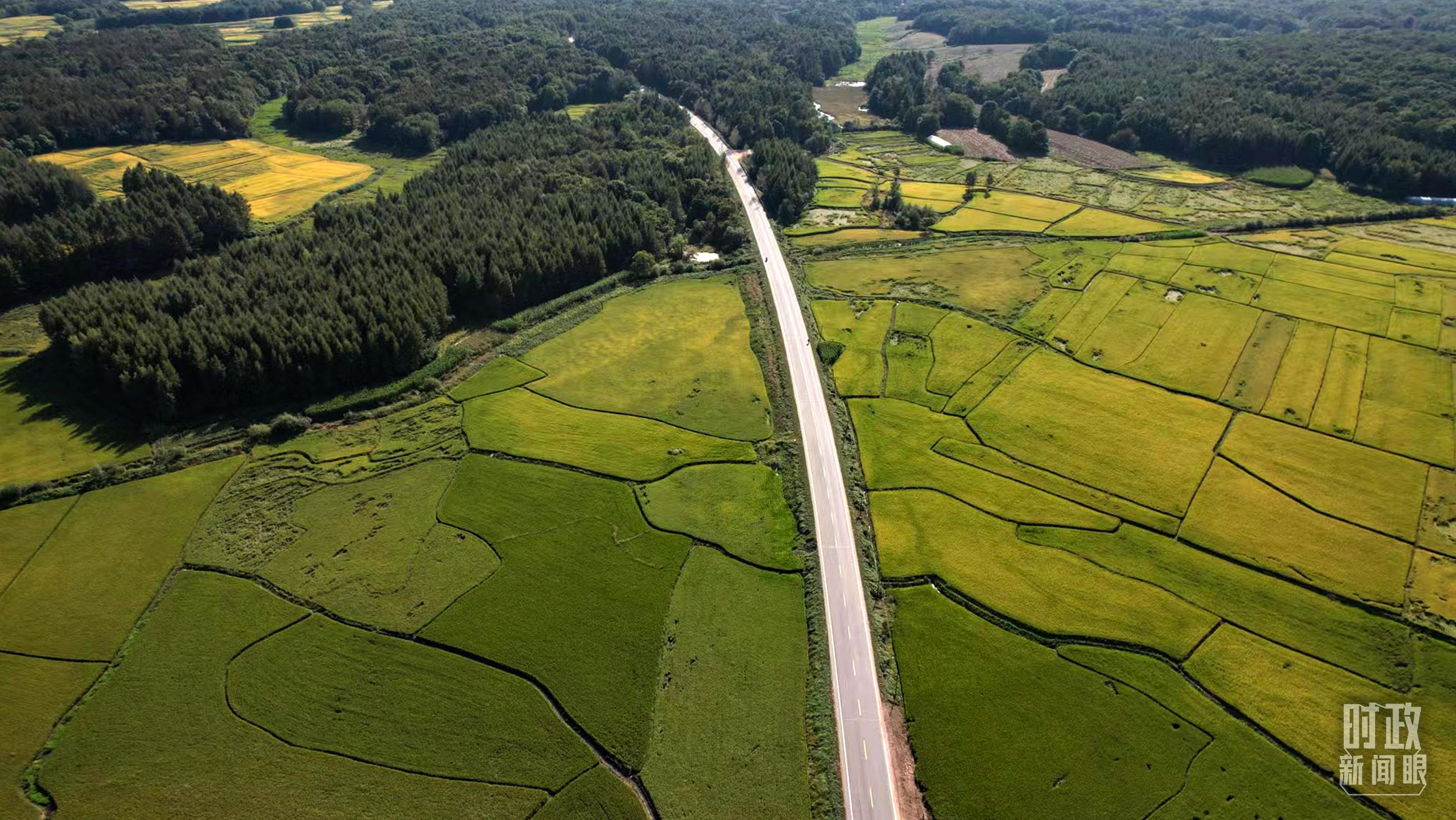 時政新聞眼丨再開東北振興座談會，這些關(guān)鍵詞引人關(guān)注