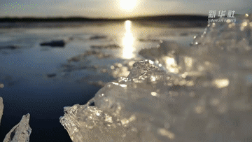 跟著總書記的考察足跡|這里是中國(guó)極北之地——漠河