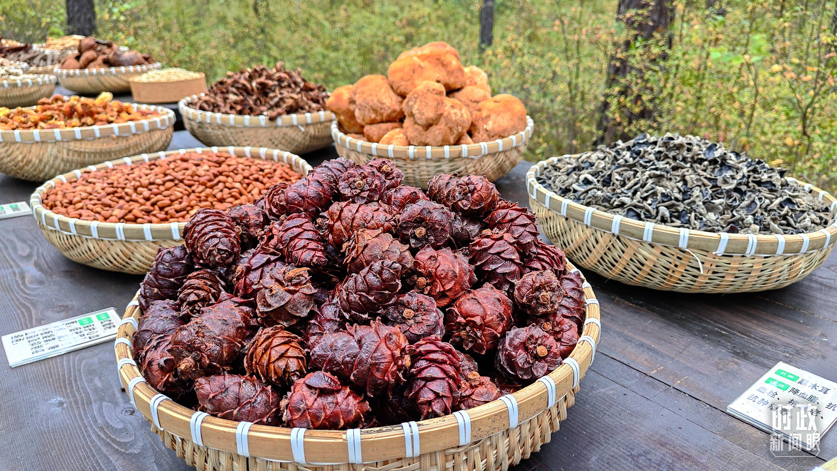 時政新聞眼丨再開東北振興座談會，這些關(guān)鍵詞引人關(guān)注