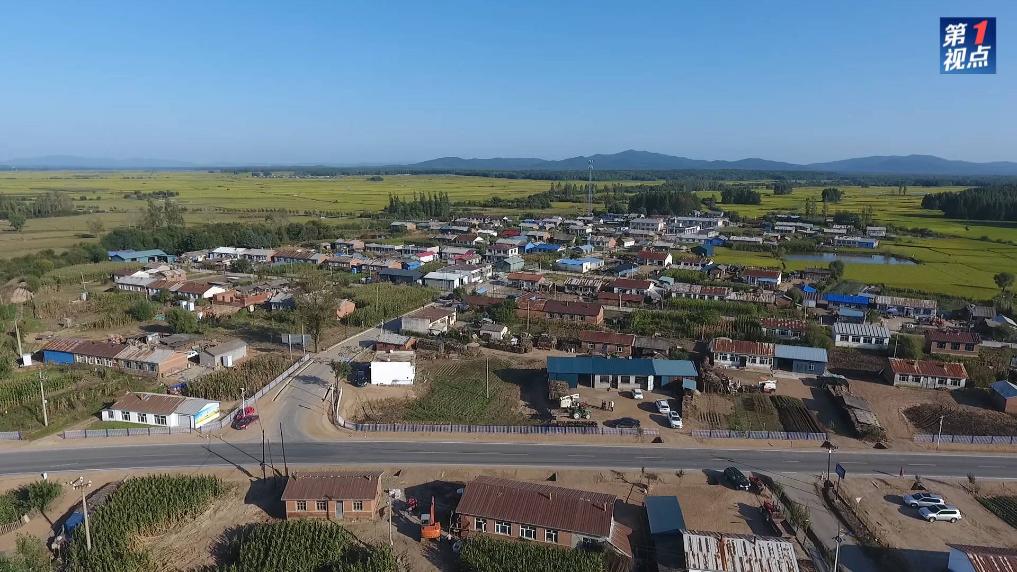 第1視點(diǎn)|情牽龍江大地