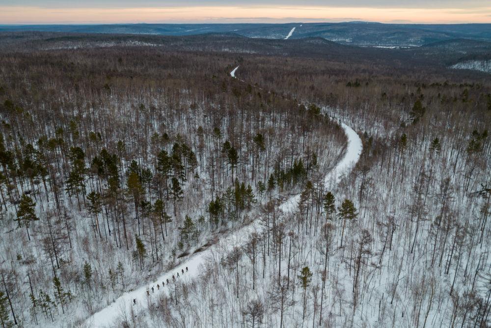 時政微觀察丨“增綠就是增優(yōu)勢、護林就是護財富”