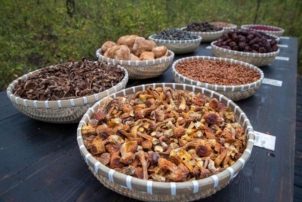 時政微觀察丨“增綠就是增優(yōu)勢、護林就是護財富”