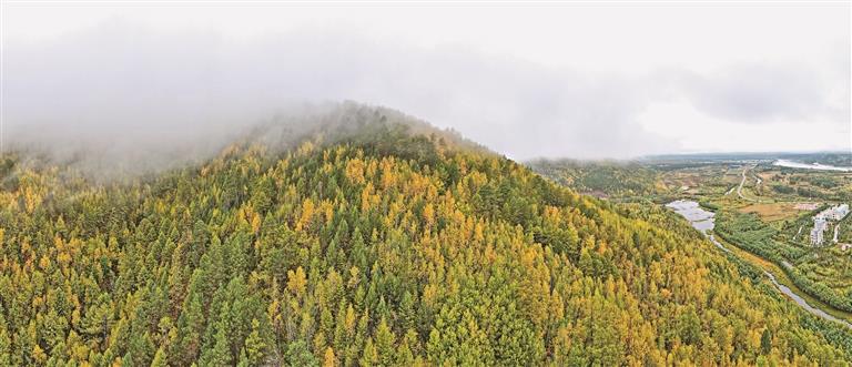 時政微觀察丨“增綠就是增優(yōu)勢、護林就是護財富”