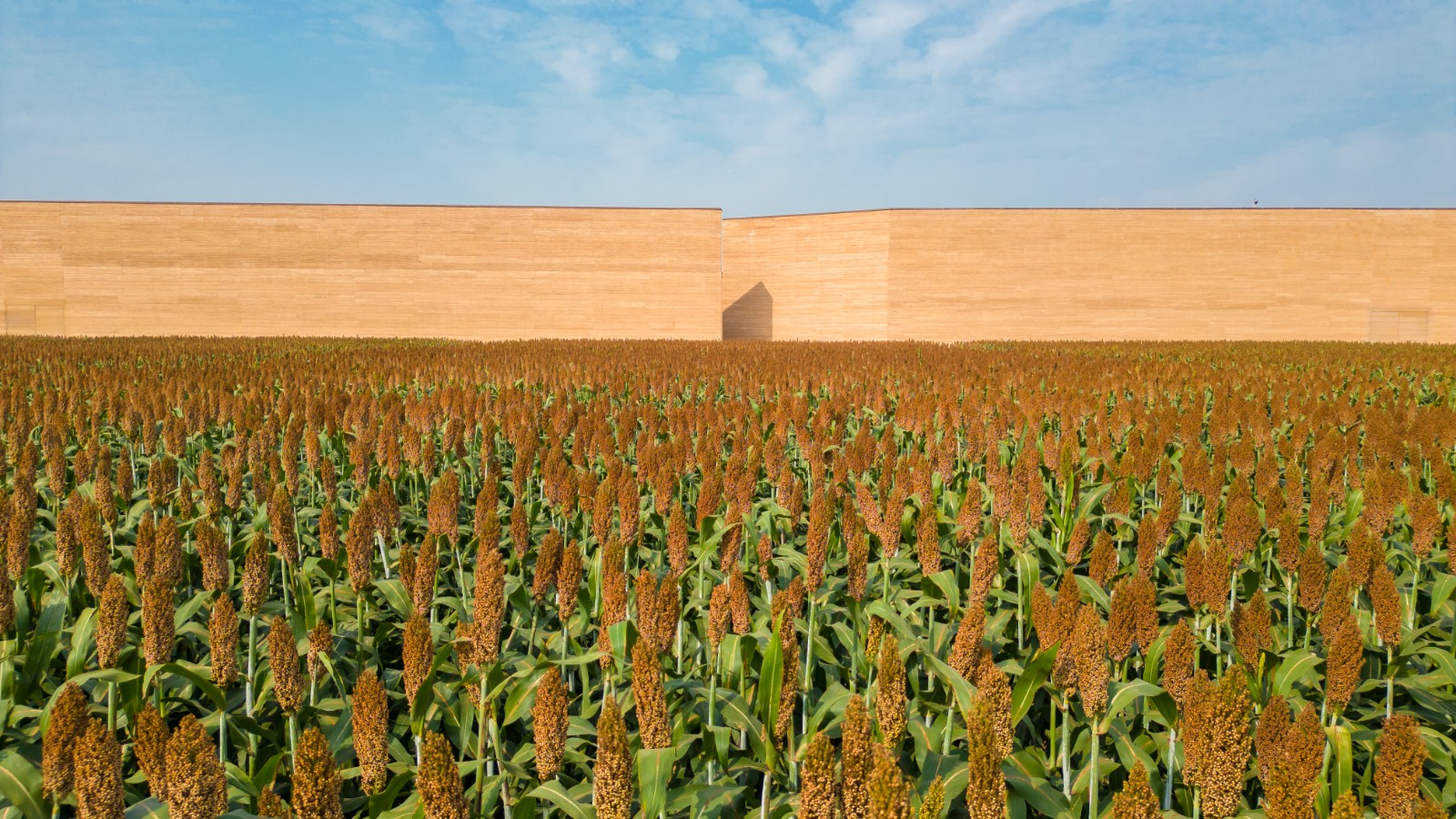 從“河”而來丨探尋“我們是誰？”中外媒體走進“只有河南·戲劇幻城”