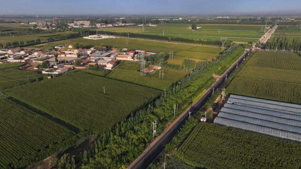 新時(shí)代新征程新偉業(yè)·習(xí)近平總書(shū)記關(guān)切事丨黃河之水天上來(lái)，奔流到此“青”幾許——黃河“幾字彎”生態(tài)治理一線(xiàn)故事