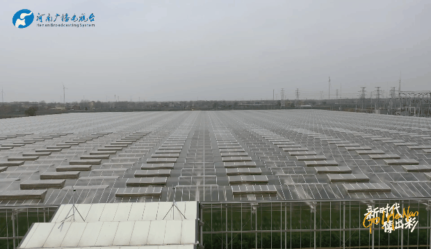 我是農(nóng)業(yè)弄潮人丨新時(shí)代 豫出彩