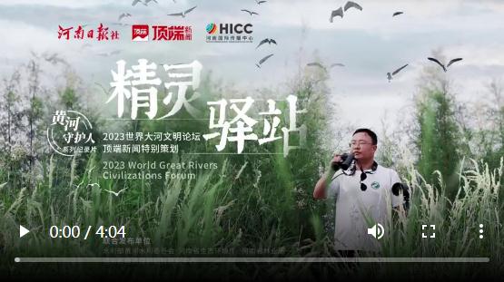 給15萬鳥兒看家護院！孟津黃河濕地有座“精靈驛站”丨黃河守護人④