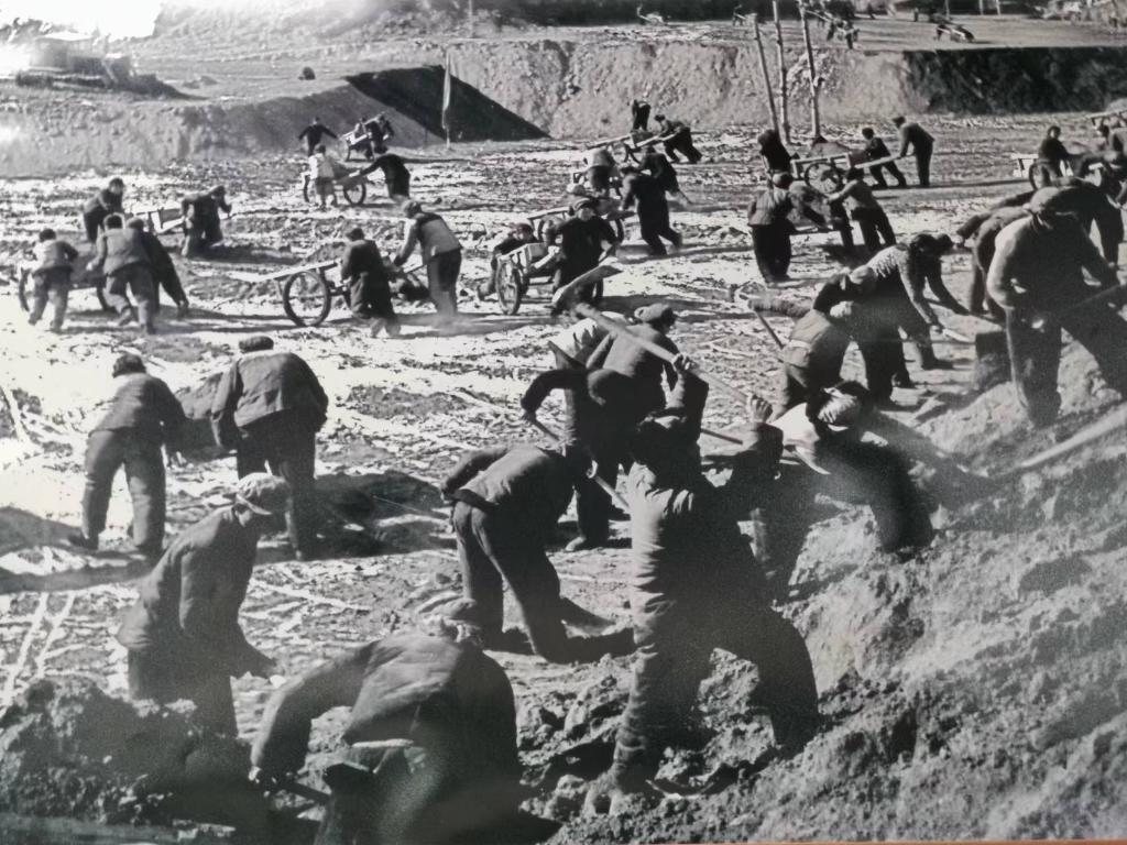 新時(shí)代新征程新偉業(yè)·習(xí)近平總書(shū)記關(guān)切事丨黃河之水天上來(lái)，奔流到此“青”幾許——黃河“幾字彎”生態(tài)治理一線故事