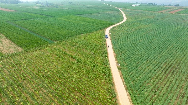 中原“豐”味丨河南各地秋收?qǐng)D景搶“鮮”上市！這些成語(yǔ)藏在其中