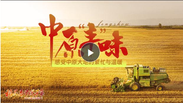 金秋稻花香！《中原“豐”味》描繪河南秋收畫(huà)卷