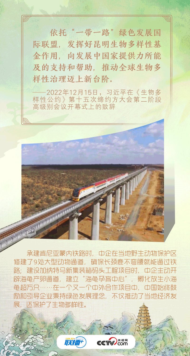 大道之行|綠色是共建“一帶一路”的底色