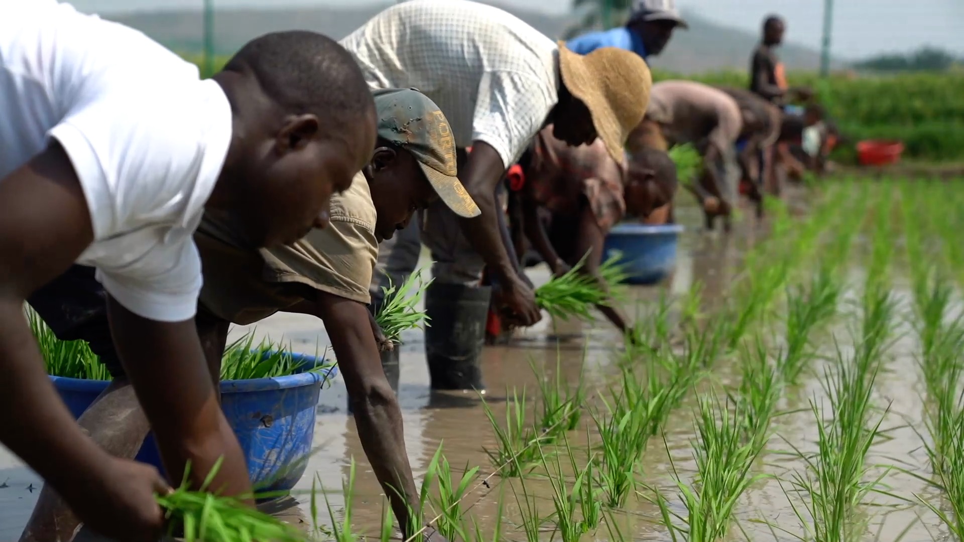 發(fā)展之道——共建更加美好的世界
