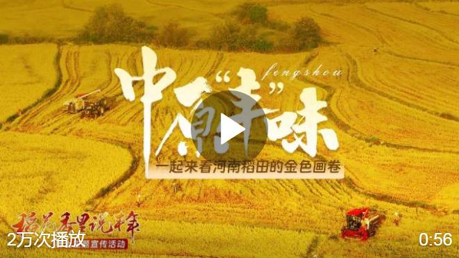 #河南被金色刷屏了#【金秋稻花香！《中原“豐”味》描繪河南秋收畫(huà)卷】秋風(fēng)拂面，金黃稻浪隨風(fēng)起舞，果實(shí)芳香彌漫空中。在這金秋大好時(shí)節(jié)，中原大地呈現(xiàn)出一派繁忙景象…… #稻花香里說(shuō)豐年# 大河網(wǎng)的微博視頻