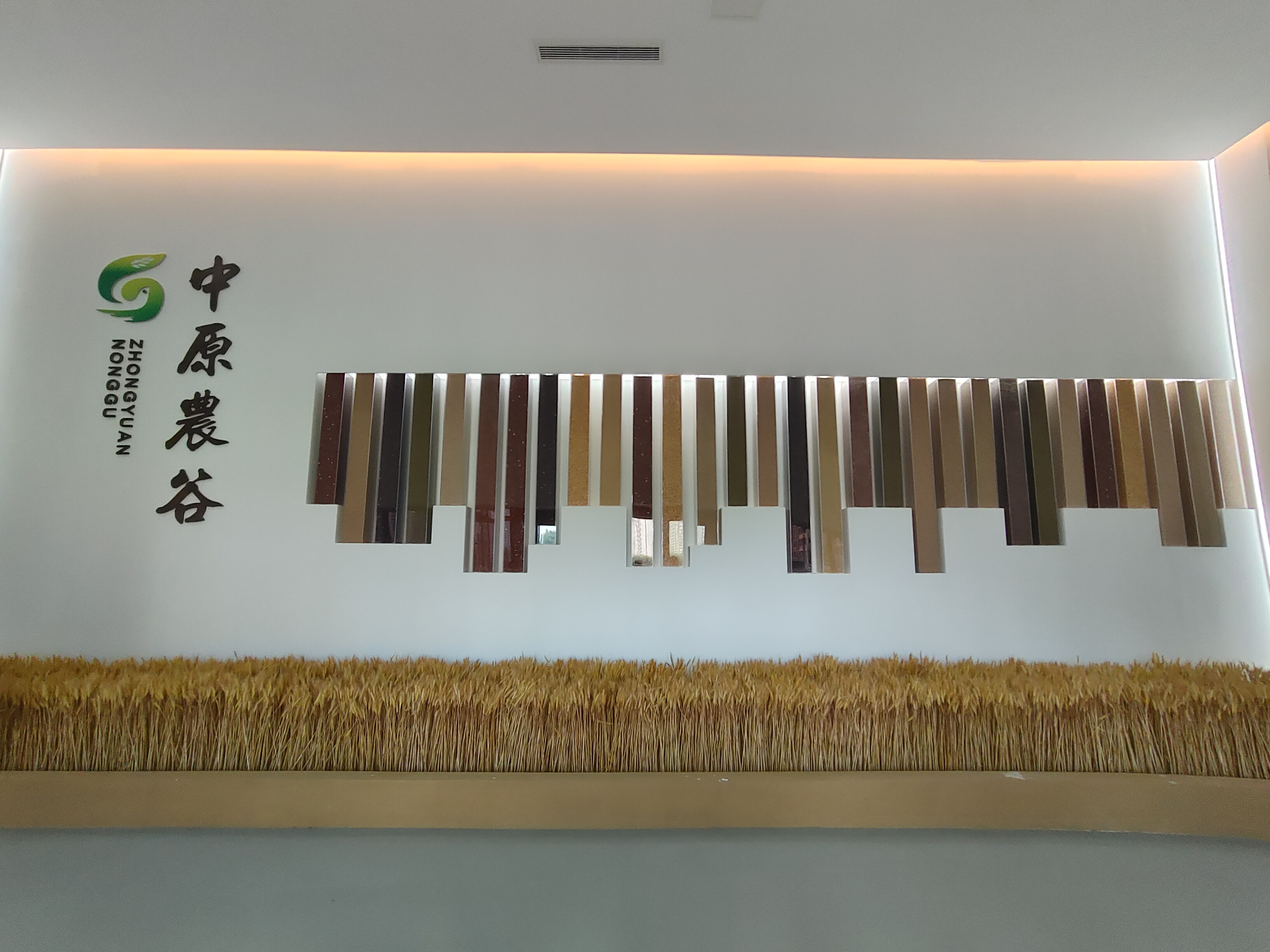 數(shù)智賦能新鄉(xiāng)造，看新鄉(xiāng)如何打響產(chǎn)業(yè)轉(zhuǎn)型新名片